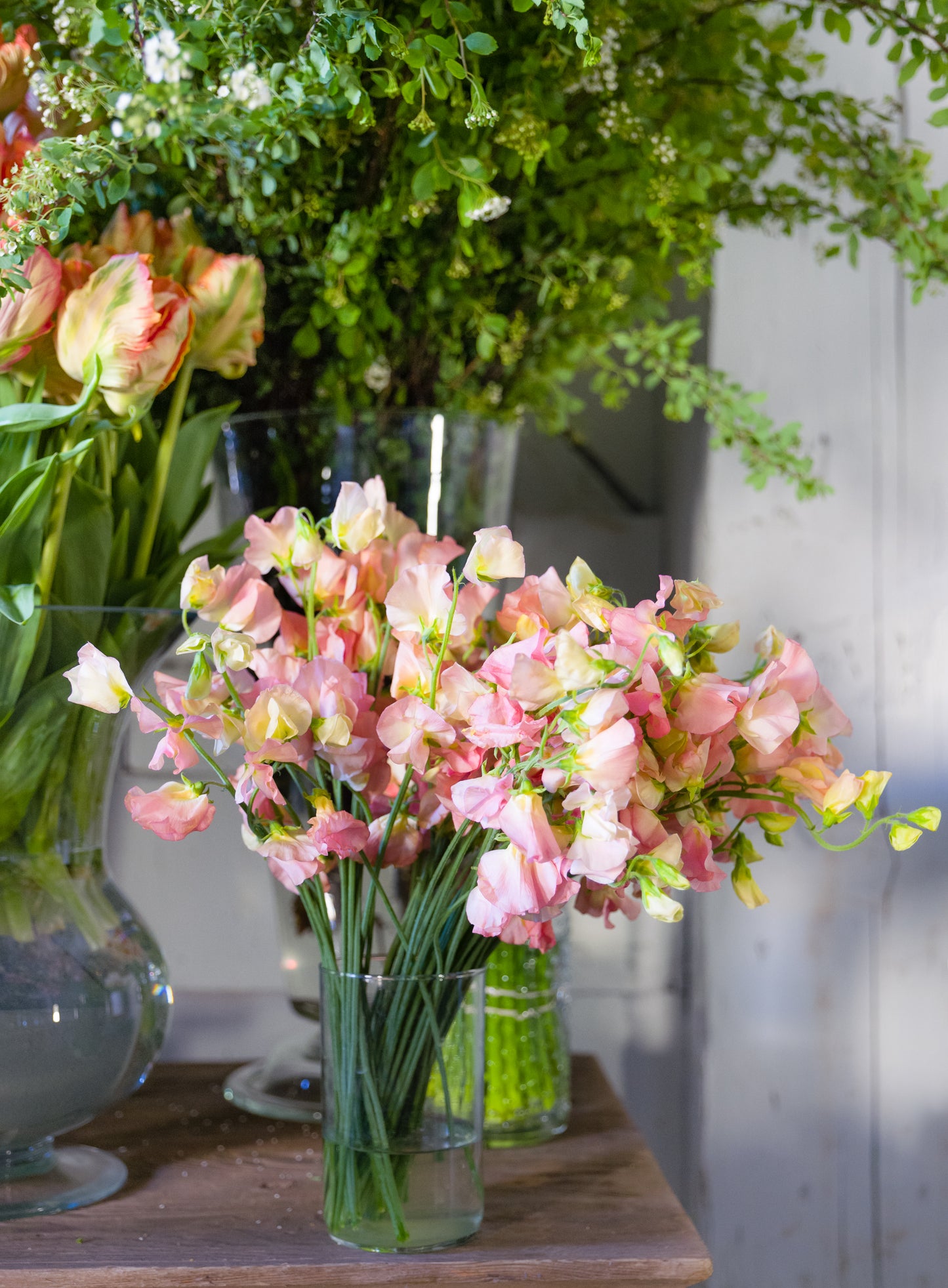 Caring for your Blooms