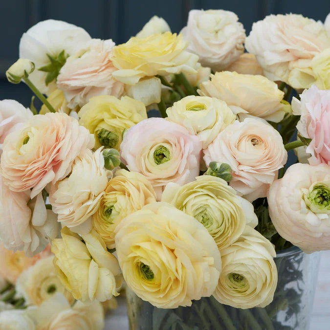 Ranunculus Highline Pastel Wedding