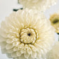 Collection - Wedding Whites