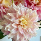 Collection - Romantic Pinks