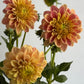 Florelie Fruit Tingle, miniature informal decorative yellow, orange, pink and red