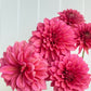 Florelie Guava
