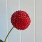 Red Pom
