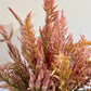 Celosia Vintage Rose mix