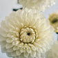 Boundary Snowflake