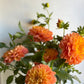 Golden Decorative - Unlabelled