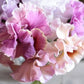 Pansy Sweet Pea Mix