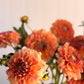 Florelie Mandarin