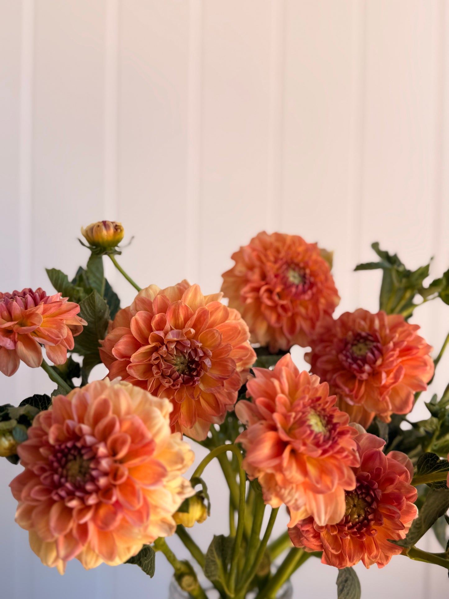 Florelie Mandarin
