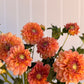Florelie Mandarin