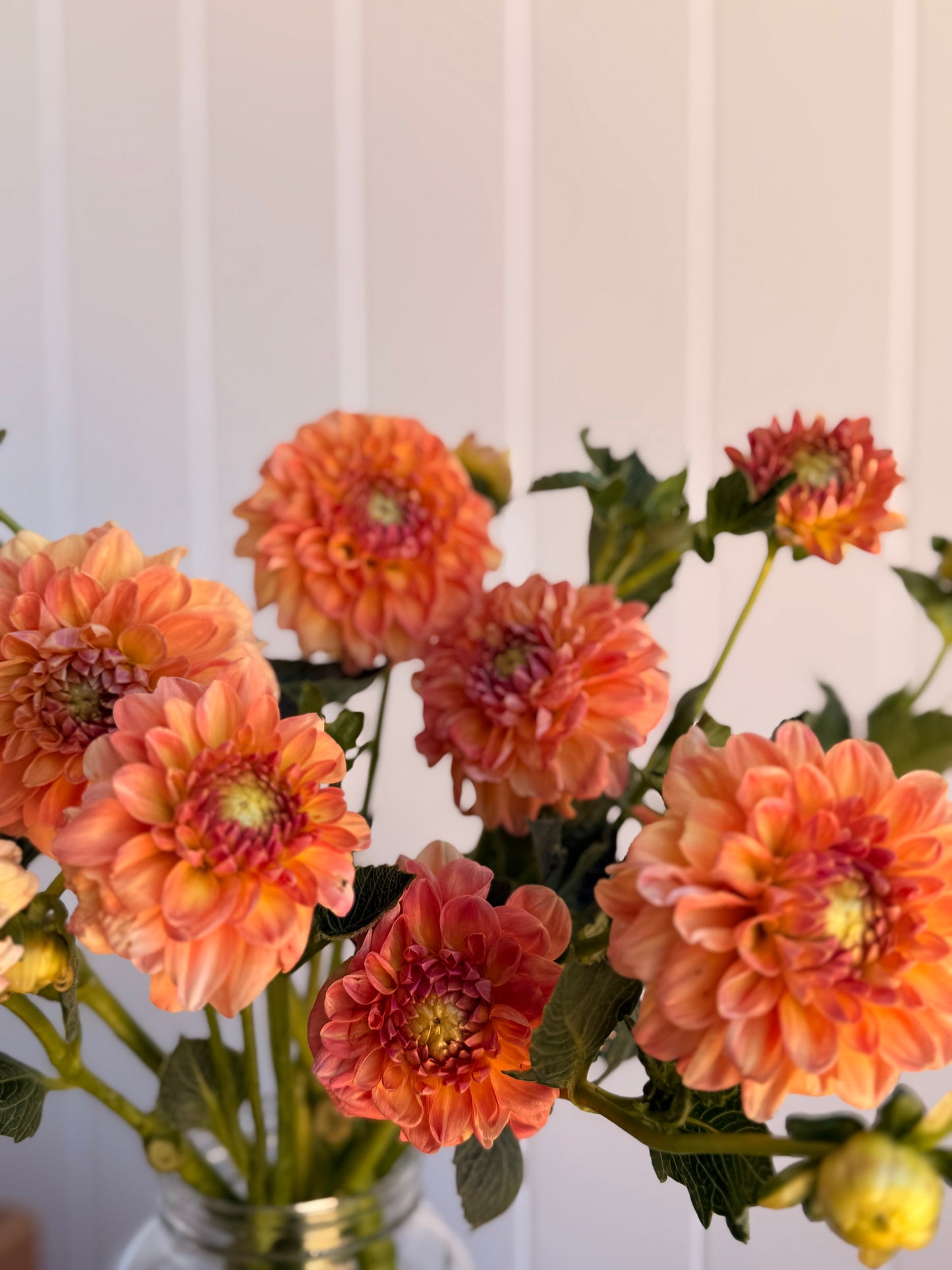 Florelie Mandarin