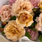 Rose, Honey Dijon