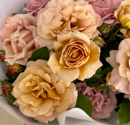 Rose, Honey Dijon