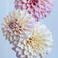 Florelie Antique