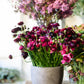Designing with Seasonal Flowers