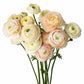 Ranunculus Highline Pastel Wedding