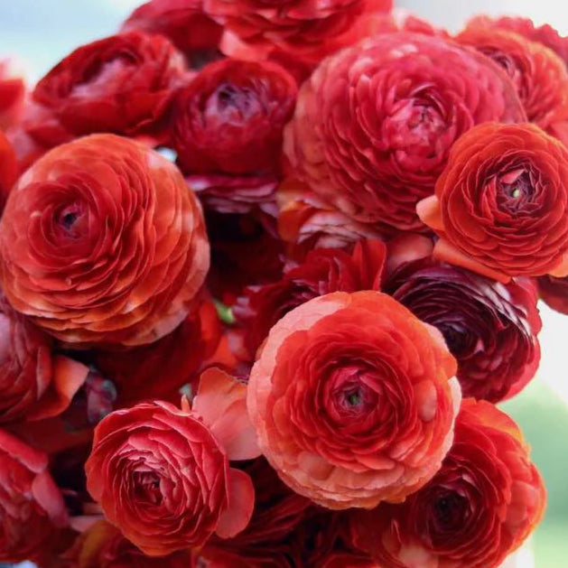 Bouquet of rich chocolate flowers