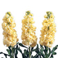 Stock, Iron Yellow